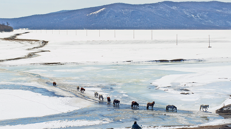 Protecting Mongolian Herders from Climate Related Losses to Livestock